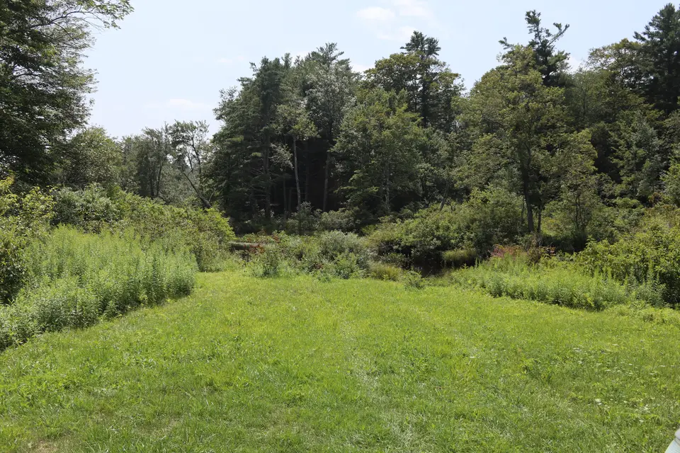 Grassy parking area for the Farmington River Boat Launch.