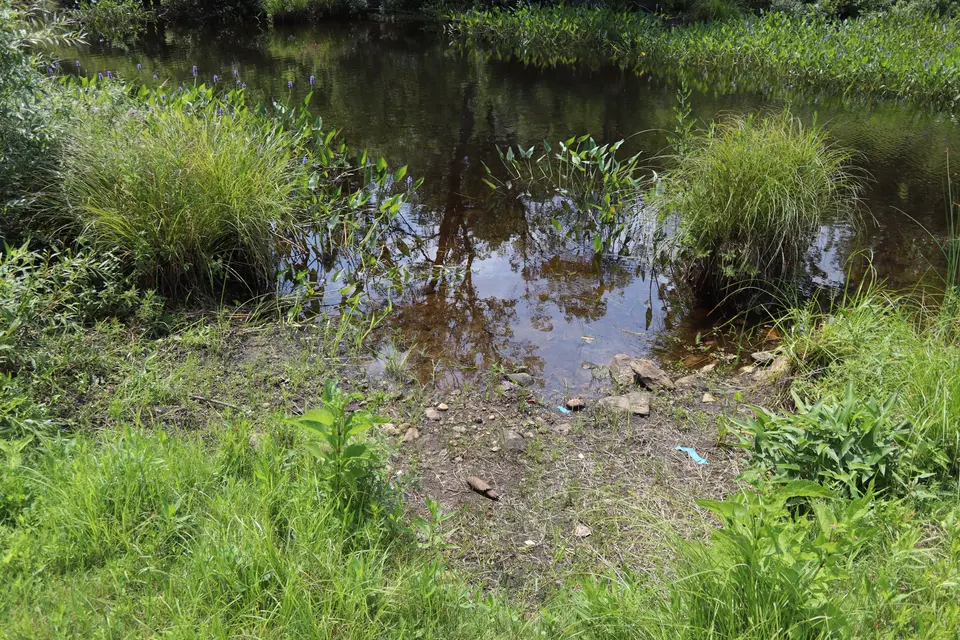 Riverbank of the Farmington River, available for Kayak and Canoe launches.