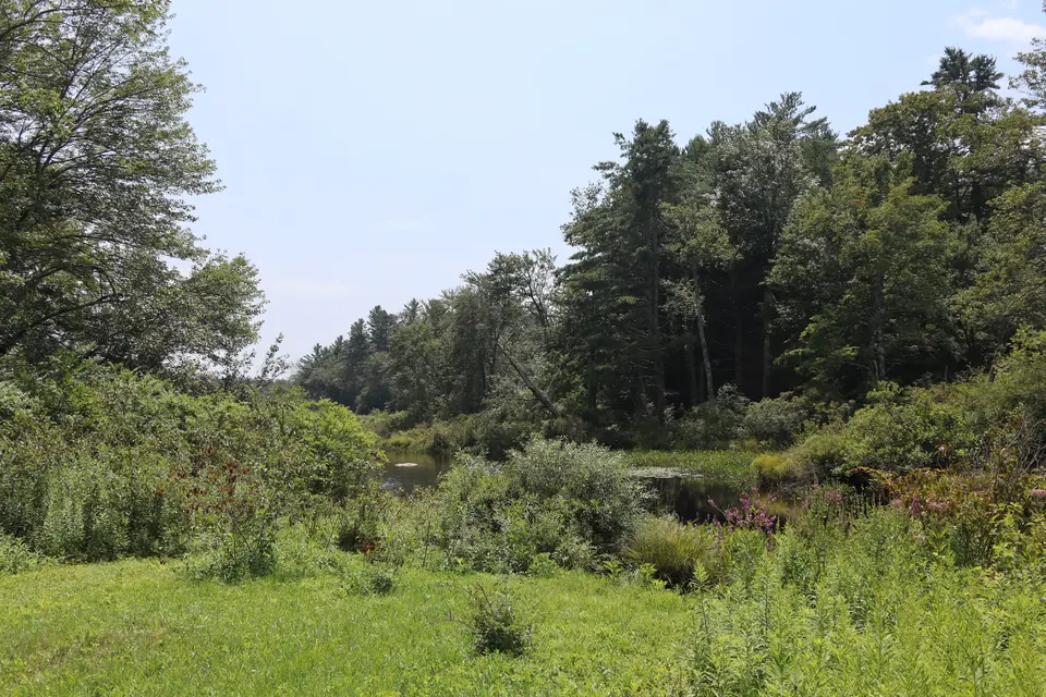 View of the Farmington River from the river access parking area.