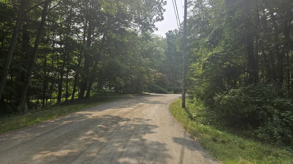 The road that leads to Hopkins Forest.