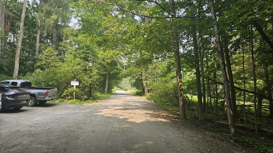 The dirt path that leads from the parking lot to the trailhead.