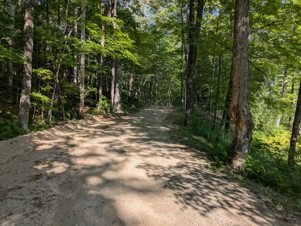 Trail along the road