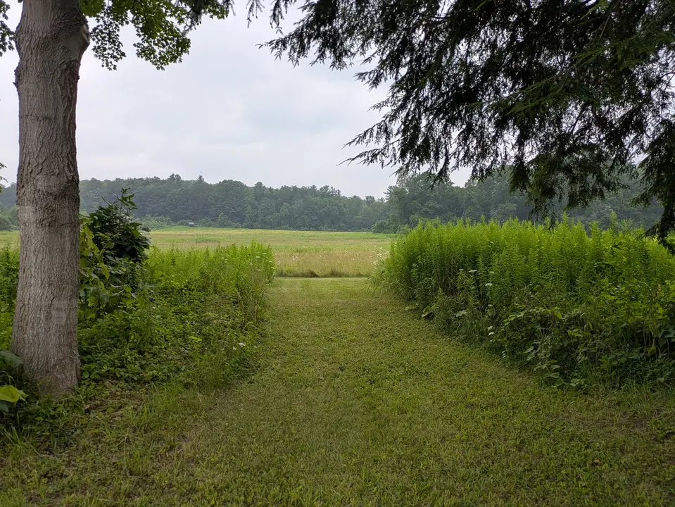 Entrance to walking path from Holmes Road