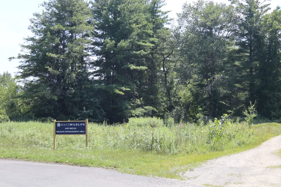 A double tracked trail extends into Hop Brook WMA, at the end of Run Way in Lee.