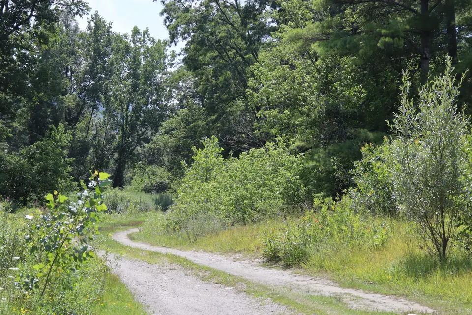 Hop Brook WMA - Run Way in Lee, MA | Berkshires Outside