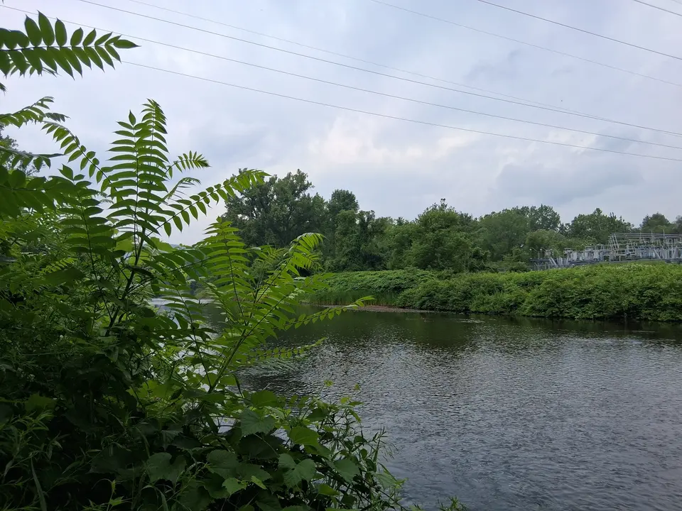 Housatonic river, viewed from the fishing access point.