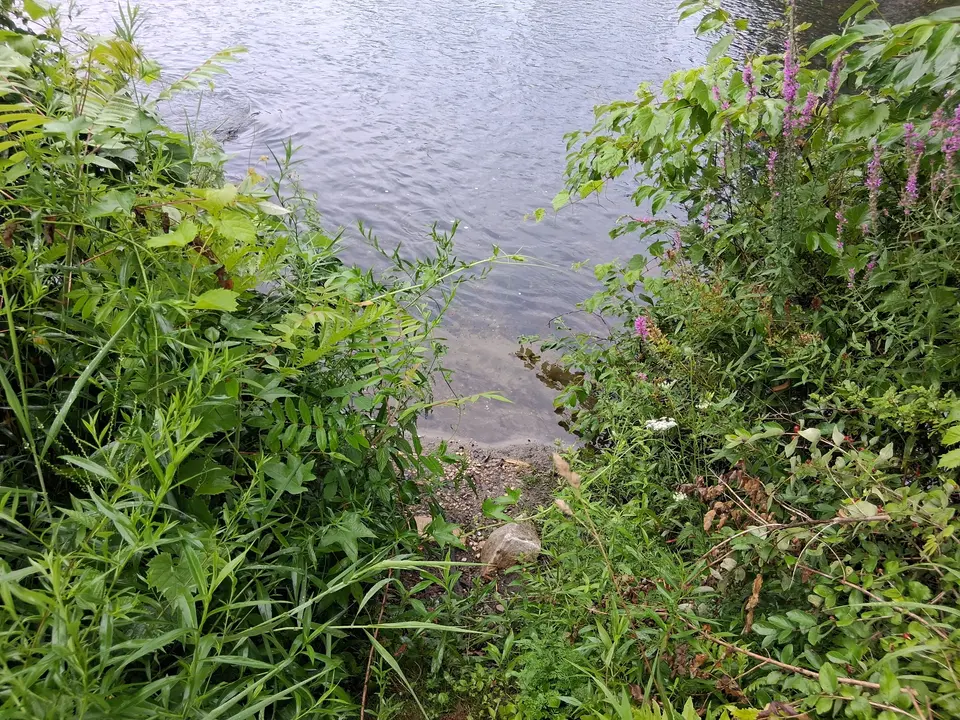 A steep, rocky path leads to the Housatonic River from the parking area.