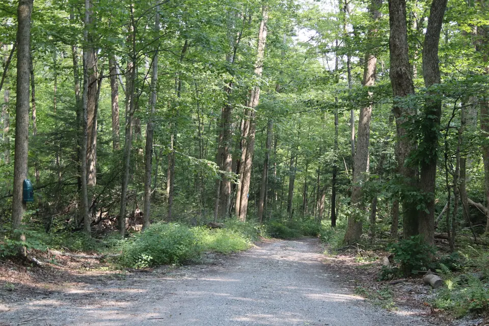 Parking area for Lenox Mountain, on the right side of Osceola Road.