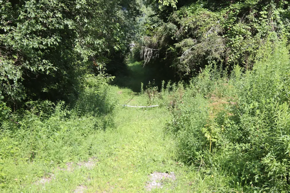 Entrance to Blue Hill Road, which serves a starting trail to the Myrin Preserve. The road contains high vegetation, and is closed to vehicles. 
