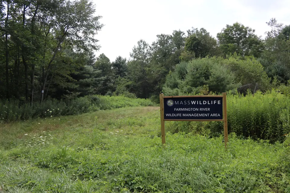 Entrance to the Farmington River WMA from Massachusetts 8, featuring an open meadow area.
