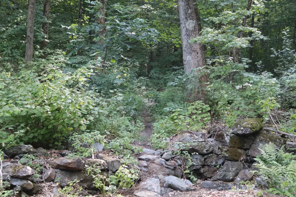 Entrance to the Portuguese Trail from the Reservoir Road Parking area, which extends south to the Lenox Water Supply Land. 