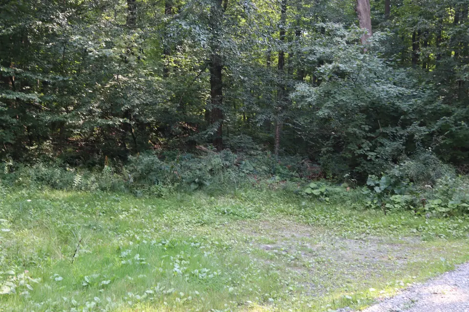 A small, grassy parking area for the Reservoir Road Watershed trails, located directly off Reservoir Road. 