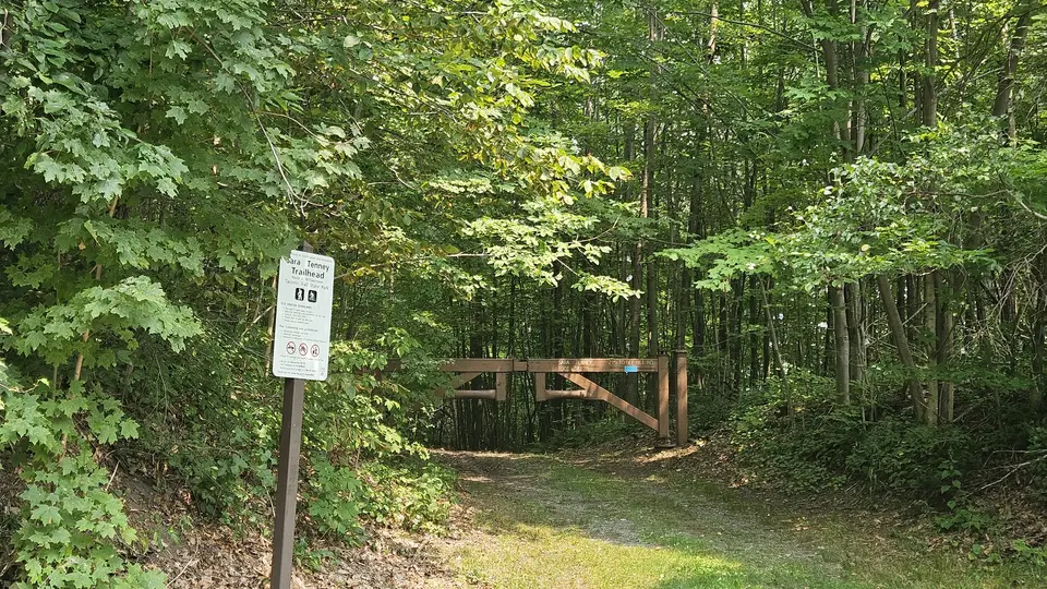 The trailhead, at the top of a short grassy incline.