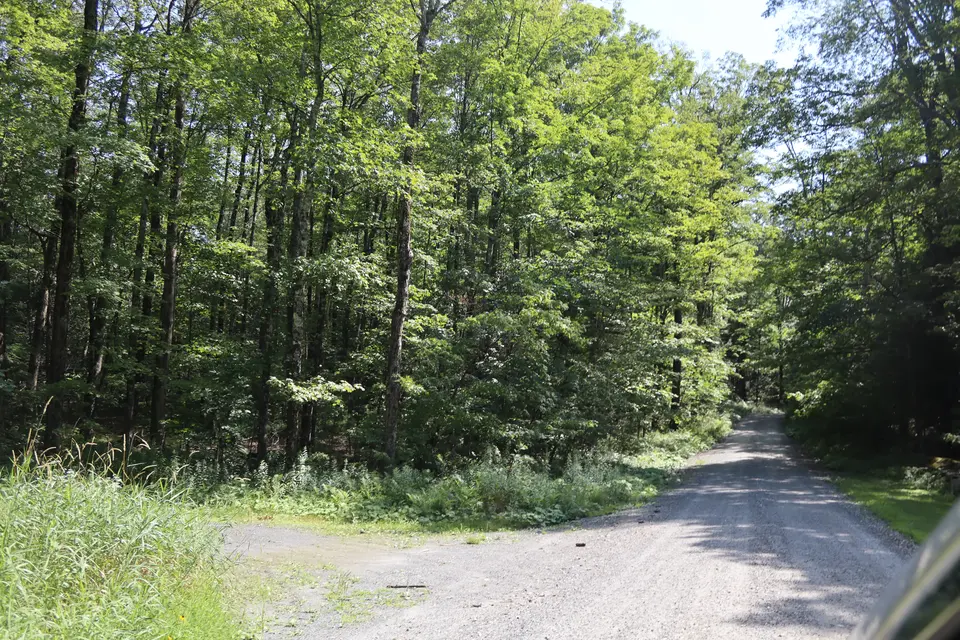 Entrance to the Shales Brook WMA parking area (left), off Tyringham Road.