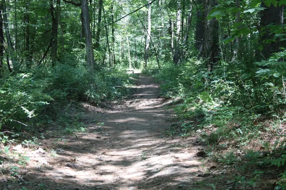 A section of the Tom Ball Mountain Trail.