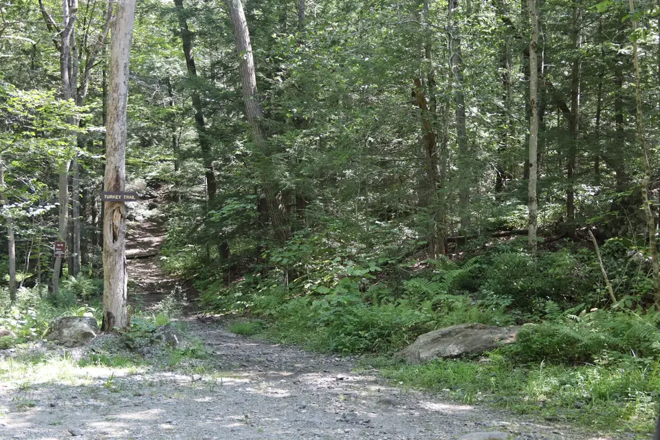 A small, gravel parking area for the Turkey Trailhead off Beartown Mountain Road.