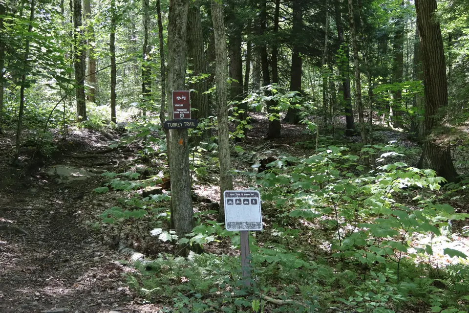 Start of the Turkey Trailhead, from Beartown Mountain Road. The trail contains moderate grades and rocky sections.