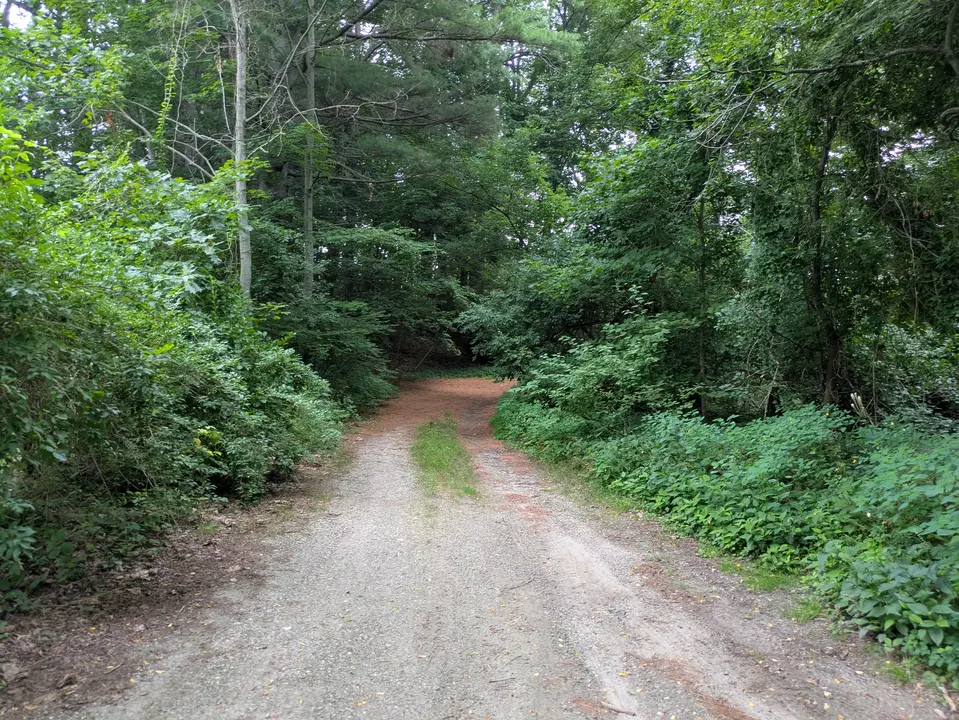 Double track trail running into the woods from Underhill Place Parking Area