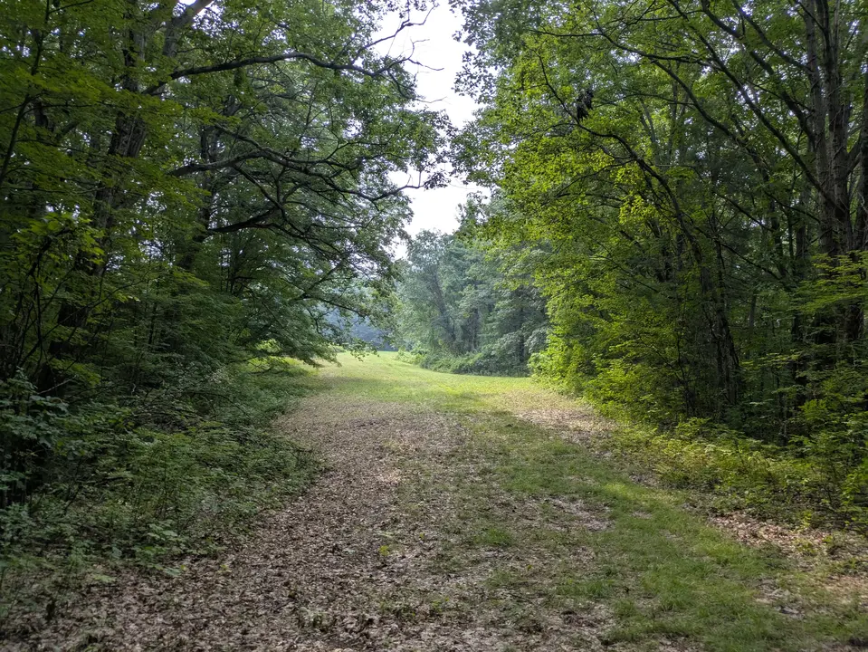 Grass trail leading into a large grass field