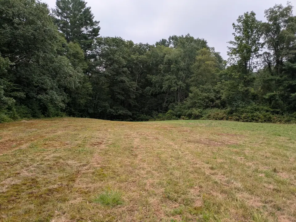 Grass field located along the trail