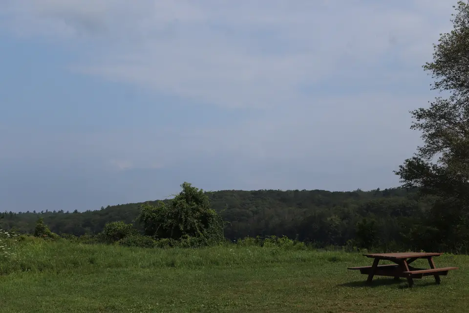 Picnic area overlooking West Lake.