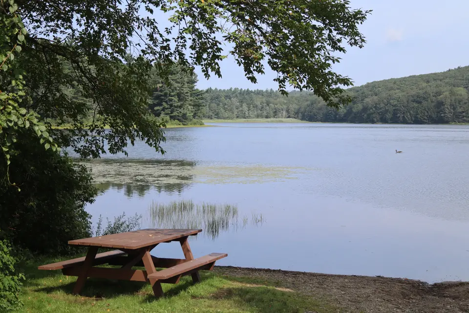 A picnic table sits by the Boat Ramp at West Lake.