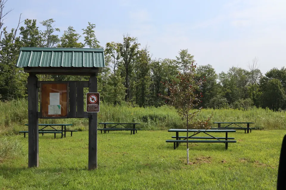 Picnic area at the Yanner Park trailhead.