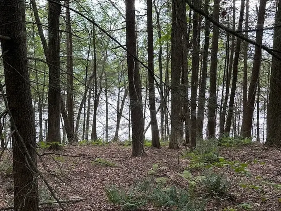 A view of the water from the trail