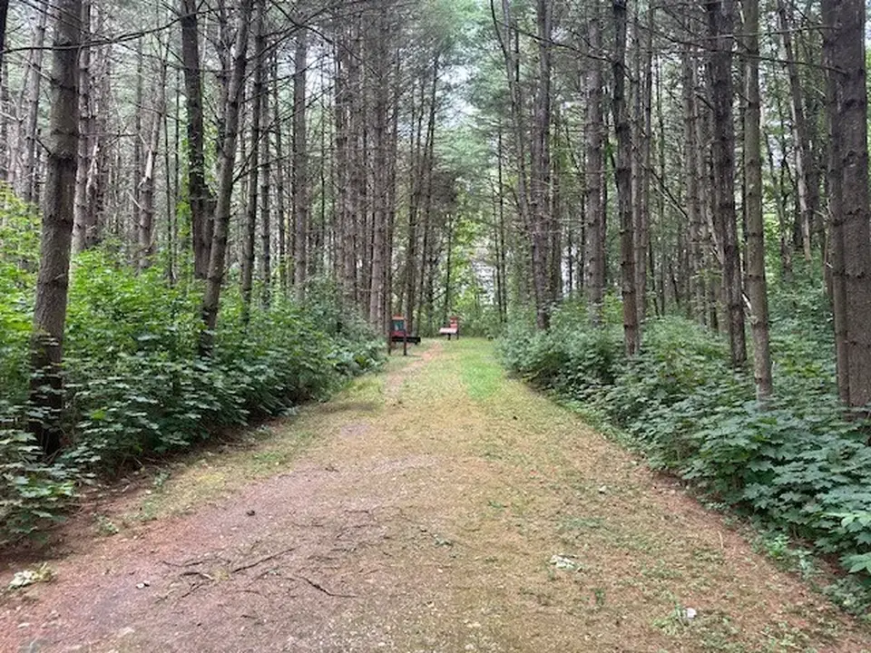 A trail through the woods