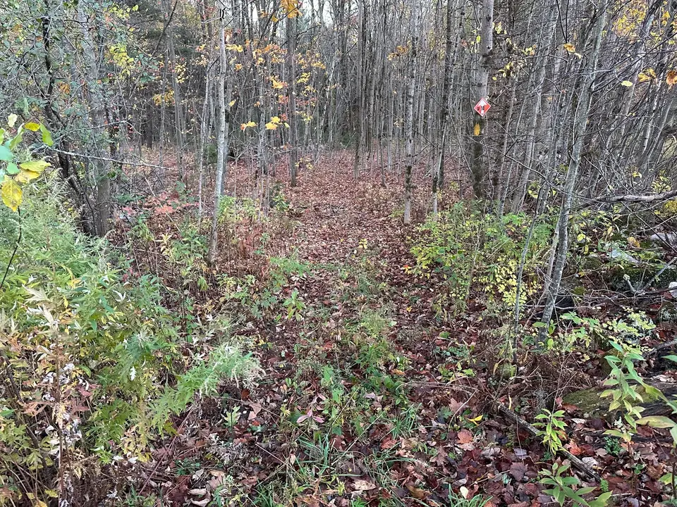 Trailhead off of Route 183