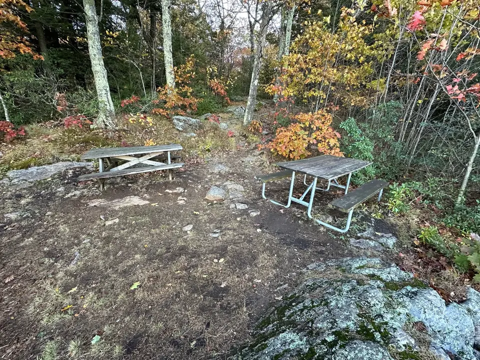 Picnic tables at the lookout