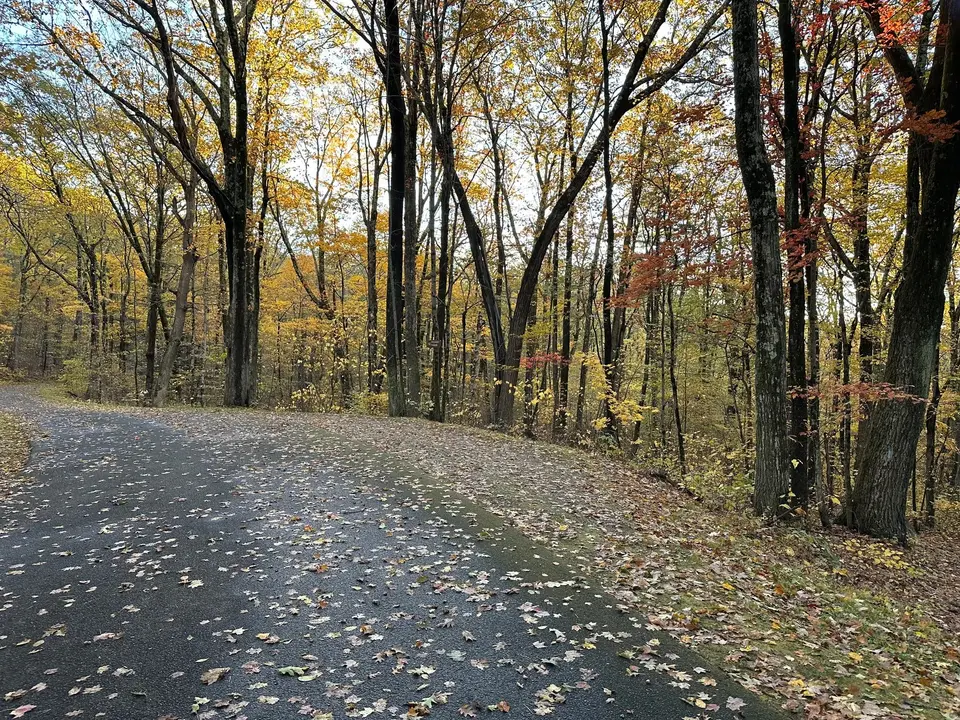 Parking for the Lookout Trail