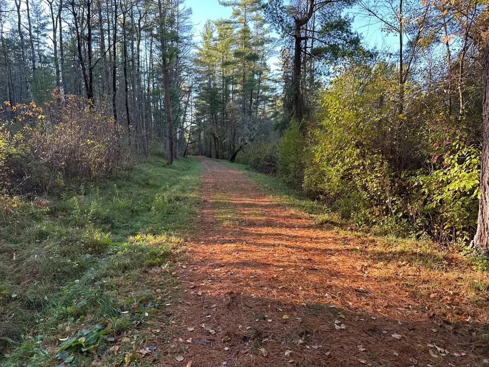 The trail to the river