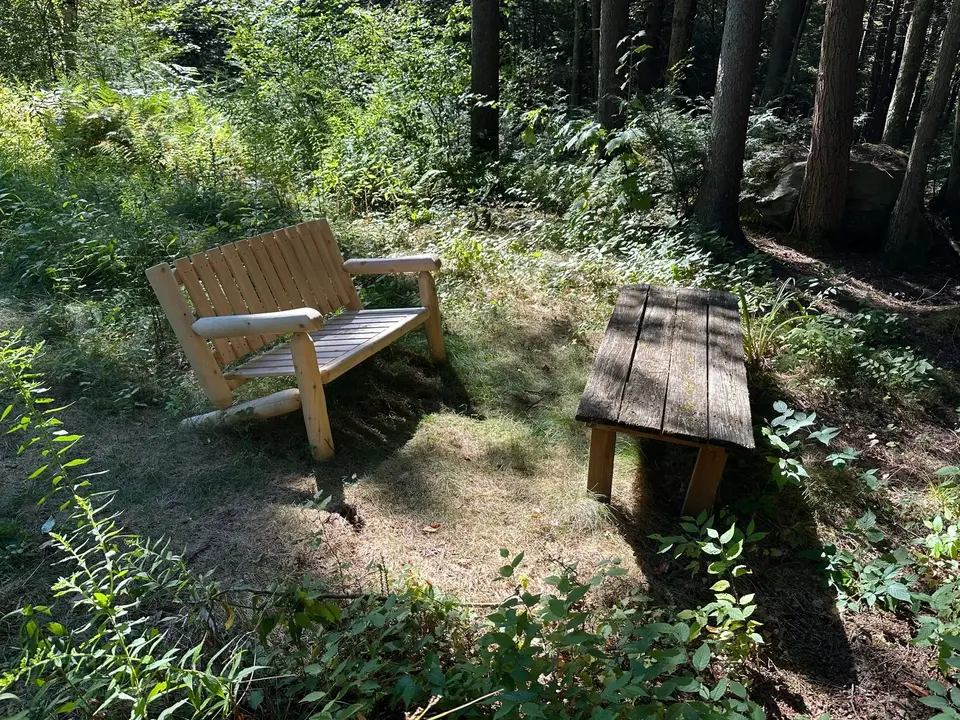 A bench and table in the woods.